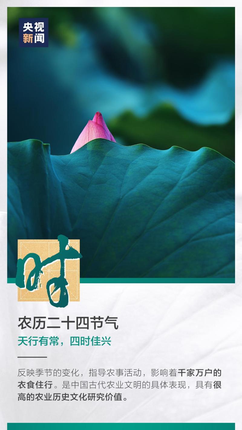 這也太浪漫了吧！