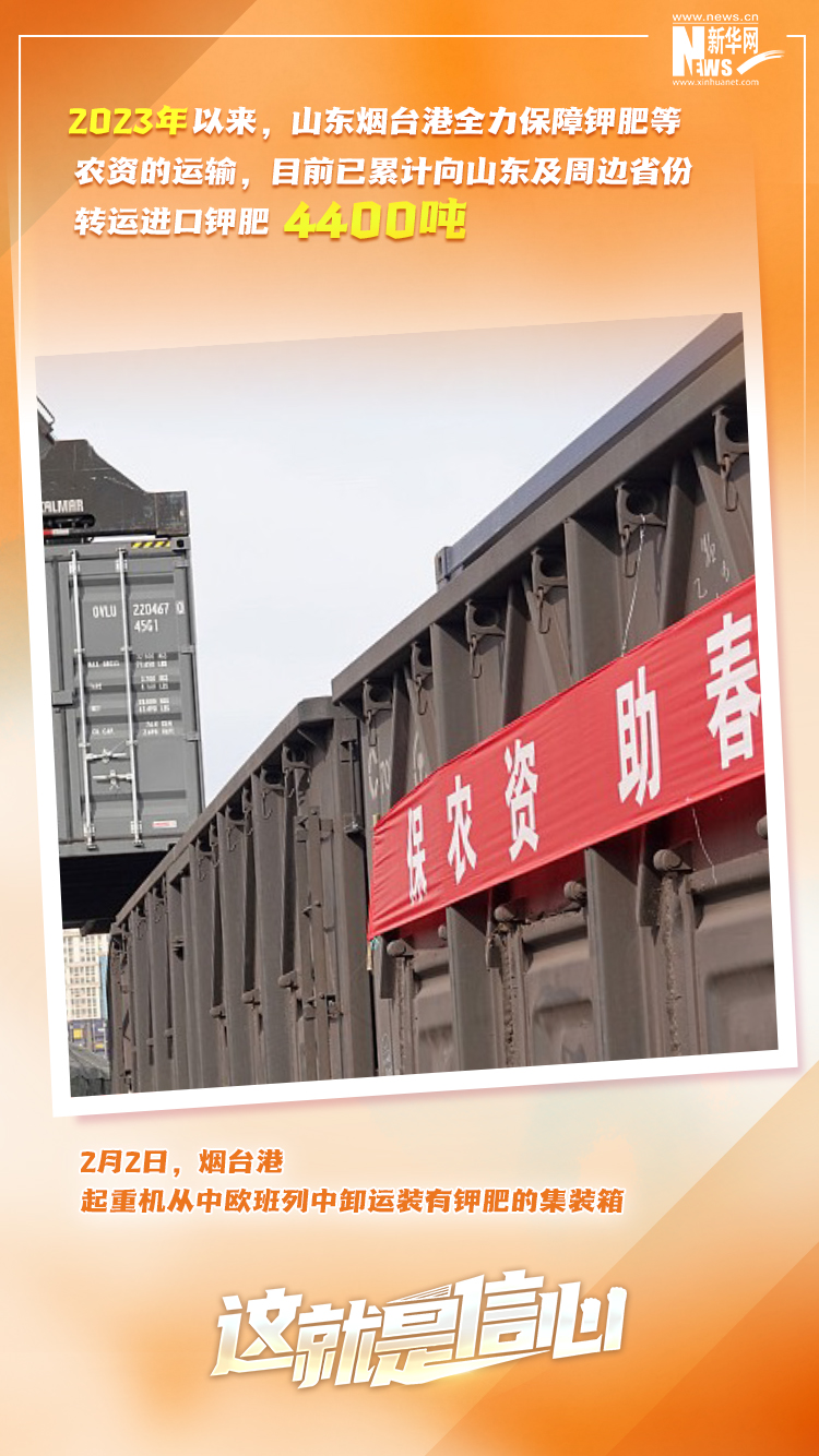 這就是信心｜實干爭春早，外貿(mào)樞紐貨運(yùn)忙