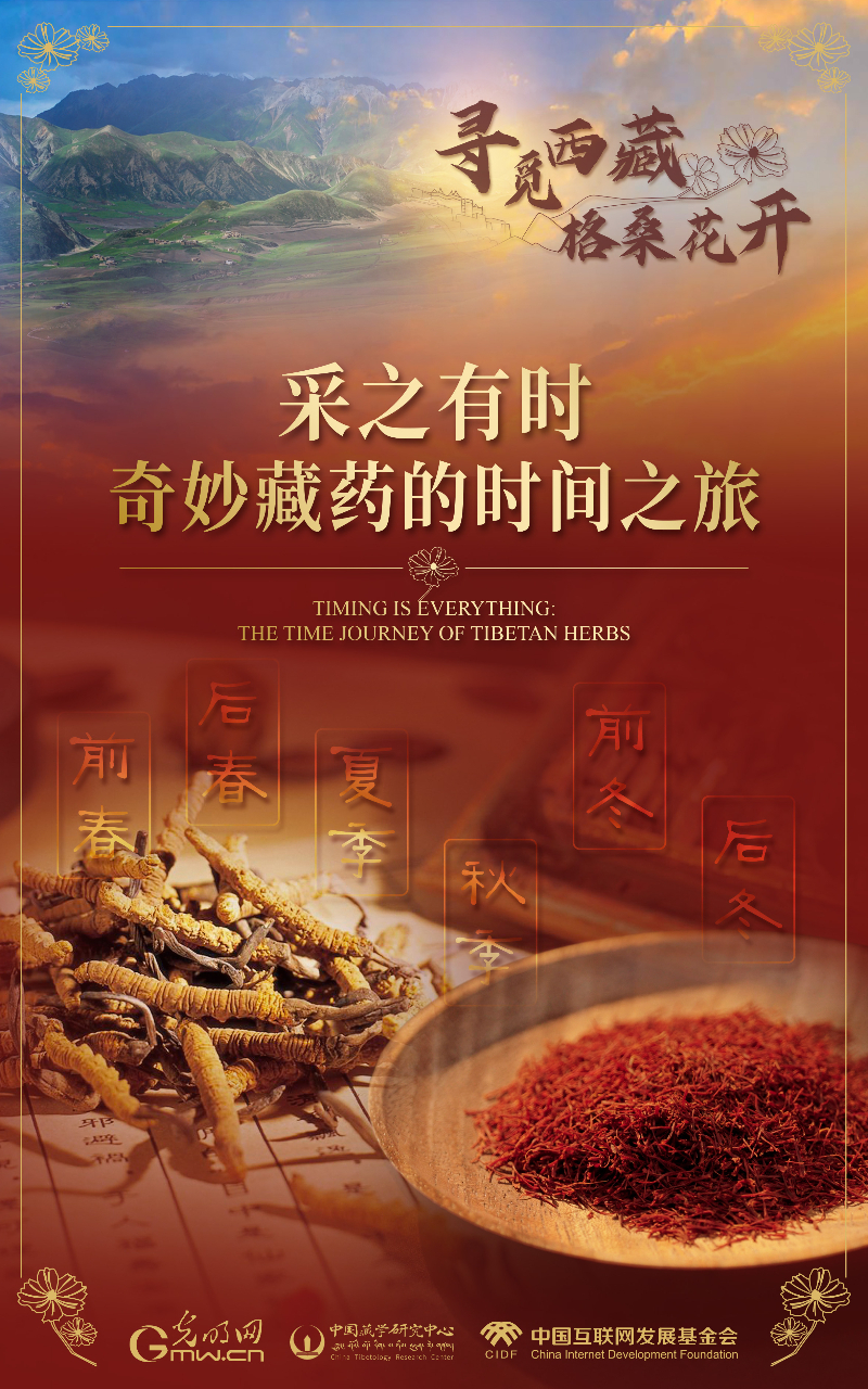 【尋覓西藏·格?；ㄩ_】采之有時：奇妙藏藥的時間之旅