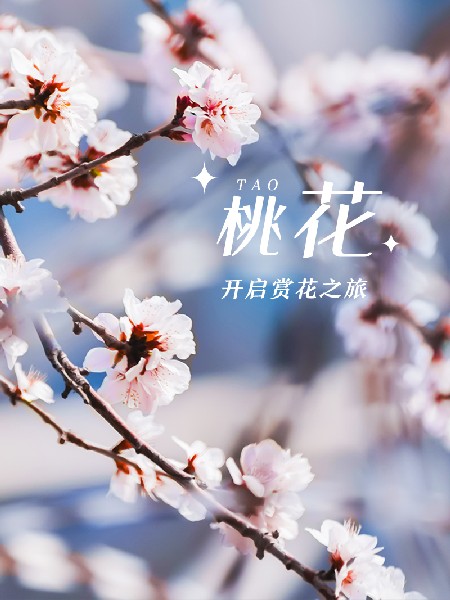 追花指南第三期！別等了 今天就去和桃花撞個滿懷