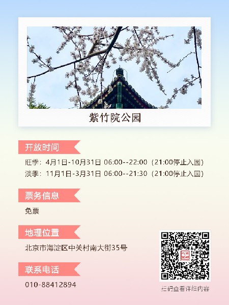 追花指南第三期！別等了 今天就去和桃花撞個滿懷