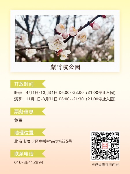 追花指南第六期！杏花雨 楊柳風(fēng) 北京最美的杏花在這里