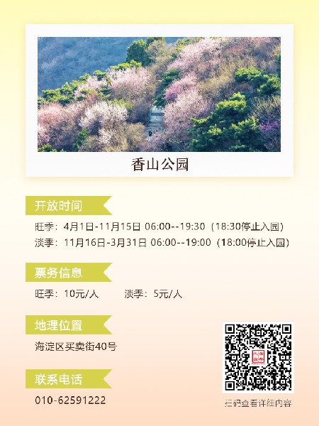 追花指南第六期！杏花雨 楊柳風(fēng) 北京最美的杏花在這里