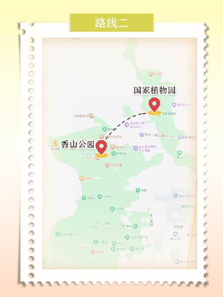 追花指南第六期！杏花雨 楊柳風(fēng) 北京最美的杏花在這里