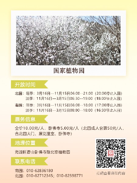 追花指南第六期！杏花雨 楊柳風(fēng) 北京最美的杏花在這里