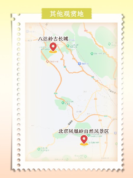 追花指南第六期！杏花雨 楊柳風(fēng) 北京最美的杏花在這里