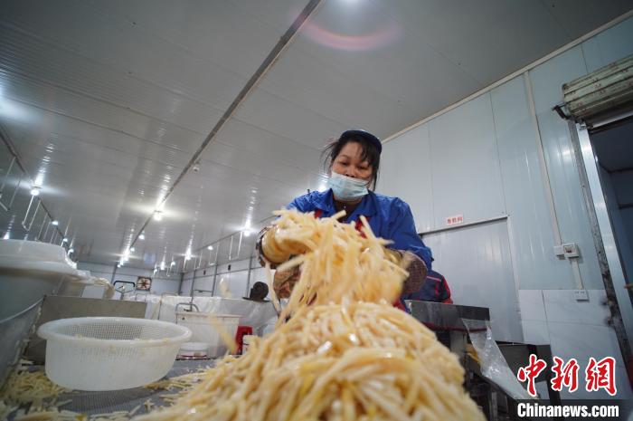 圖為一名工人正在處理切成條狀后的酸筍?！№f國(guó)政 攝