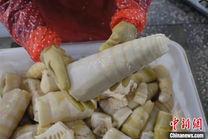 圖為整根腌制后撈出的酸筍?！⒖÷?攝