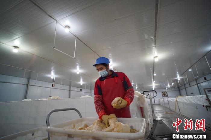 圖為一名工人正在查看酸筍腌制效果?！№f國(guó)政 攝