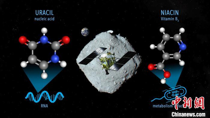 國際最新研究稱，近地小行星“龍宮”上發(fā)現(xiàn)尿嘧啶等核酸堿基