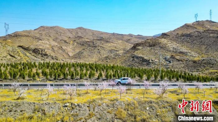 生態(tài)修復(fù)后逐漸變綠的賀蘭山石嘴山段?！∈焐绞形麄鞑抗﹫D