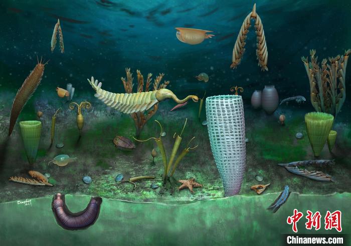 Castle Bank動物群藝術(shù)復(fù)原圖(Yang Dinghua繪制)。　施普林格·自然 供圖