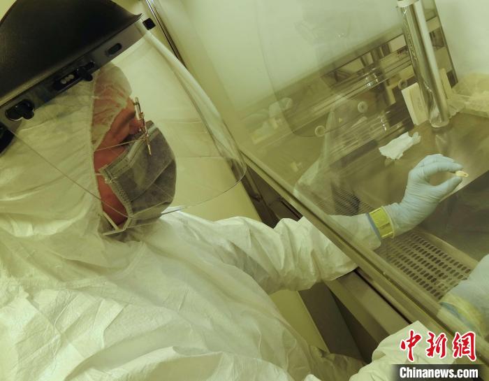 Elena Essel在凈室中處理鹿牙墜飾(圖片來(lái)自馬克斯·普朗克演化人類學(xué)研究所)。　施普林格·自然 供圖