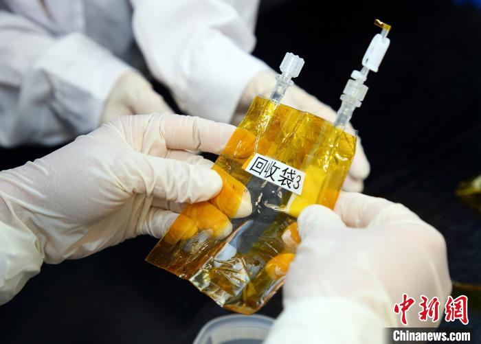 隨神舟十五號返回地面的空間科學(xué)實驗樣品。　中科院空間應(yīng)用中心 供圖