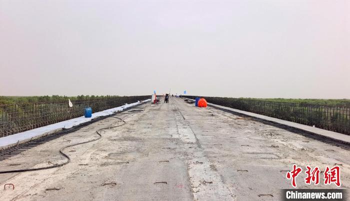 工作人員正在橋面上緊張有序地施工?！∈酚窠?攝