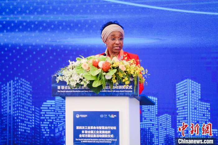 聯(lián)合國工業(yè)發(fā)展組織總干事代表兼執(zhí)行干事法圖 海達(dá)拉致辭。