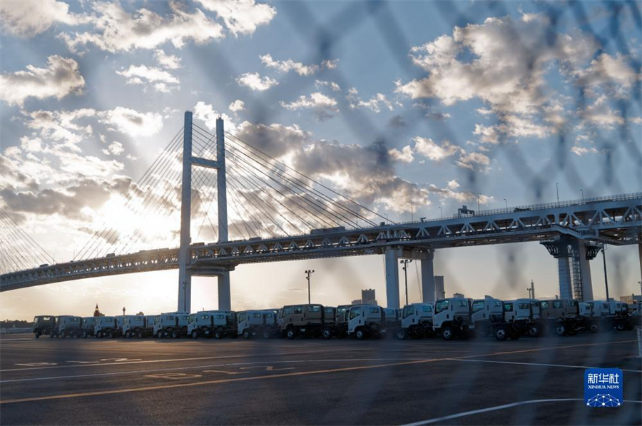 這是11月14日在日本橫濱拍攝的進出口汽車集散場地。新華社記者 張笑宇 攝
