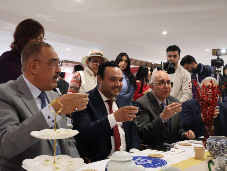 觀眾興致勃勃地體驗(yàn)茶藝。陳芷珊攝