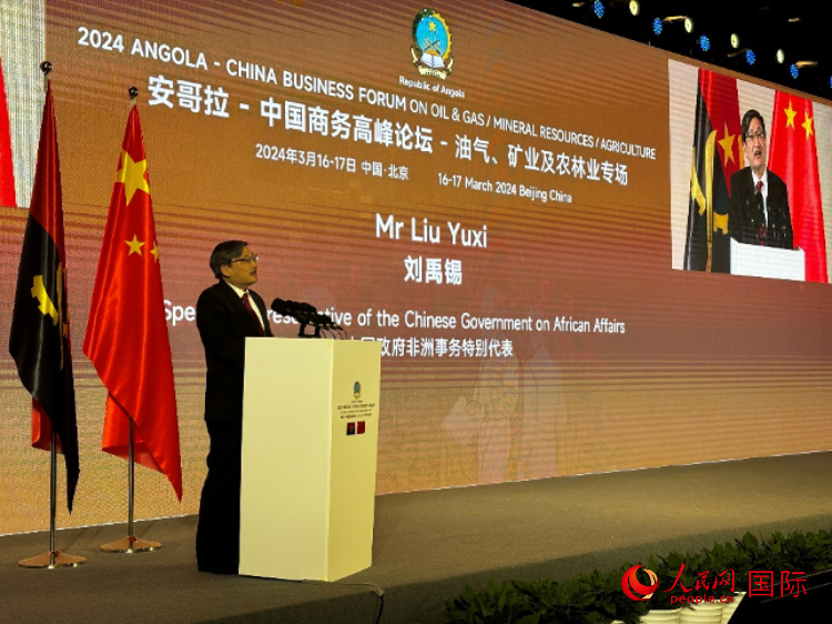 中國政府非洲事務(wù)特別代表劉禹錫。人民網(wǎng)記者 張榮攝