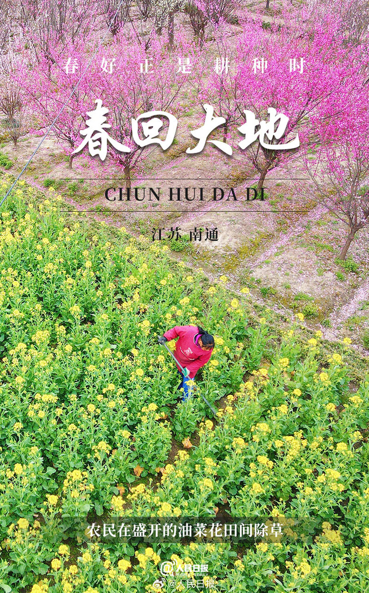 生機盎然！用課本封面打開春耕畫卷