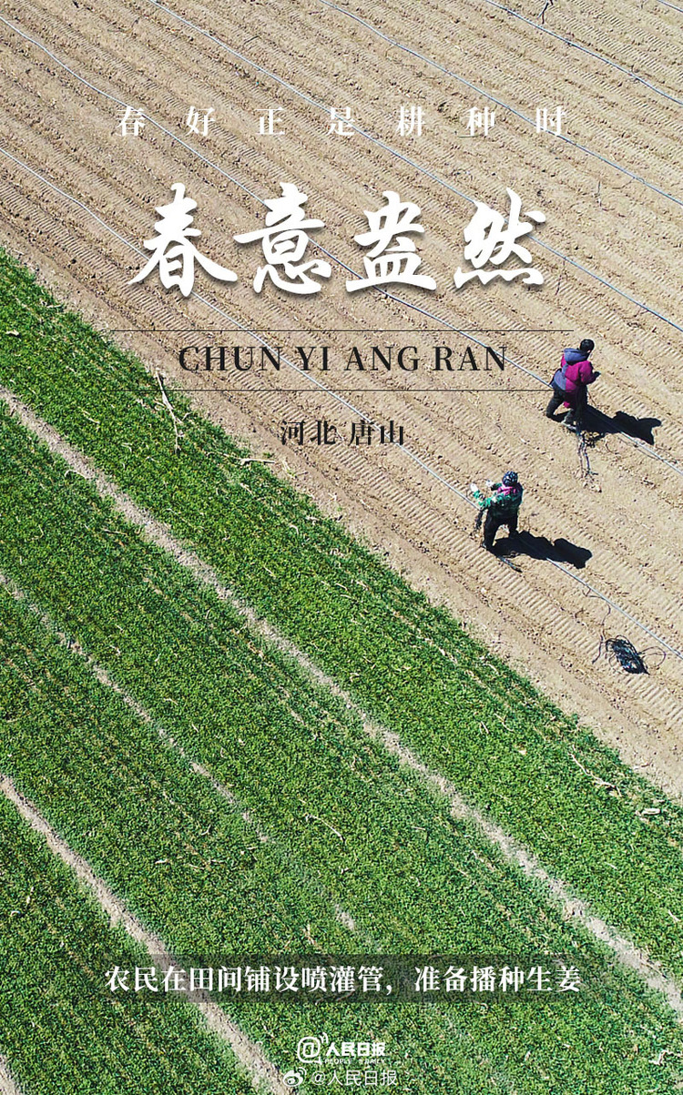 生機盎然！用課本封面打開春耕畫卷