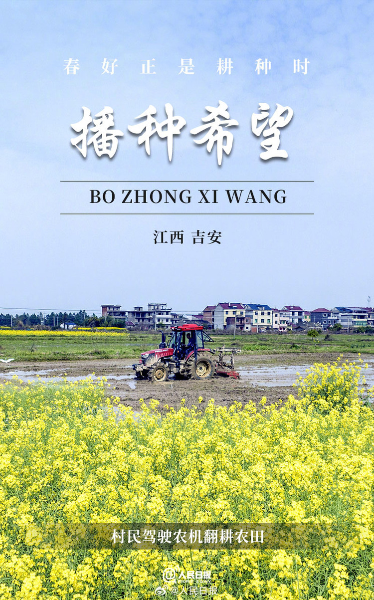 生機盎然！用課本封面打開春耕畫卷