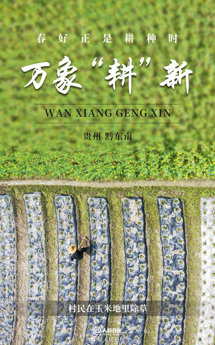 生機盎然！用課本封面打開春耕畫卷