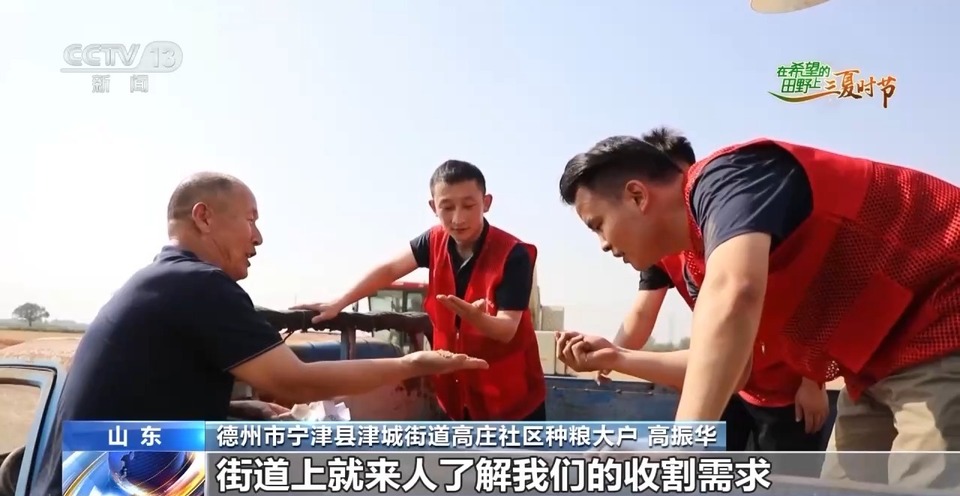 “三夏”生產(chǎn)思維導圖安排上了！還有政府大院等你來“曬”