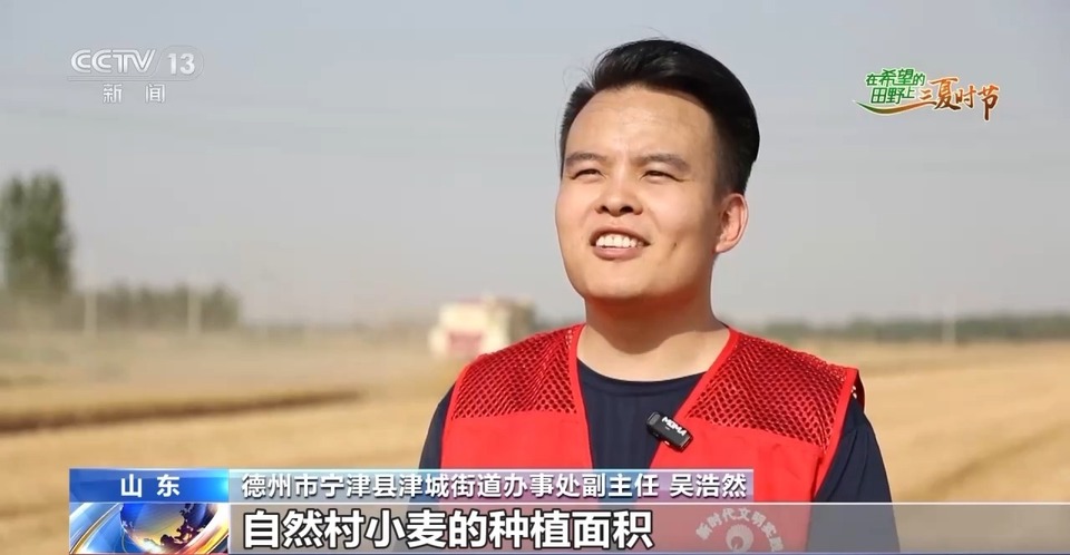 “三夏”生產(chǎn)思維導圖安排上了！還有政府大院等你來“曬”