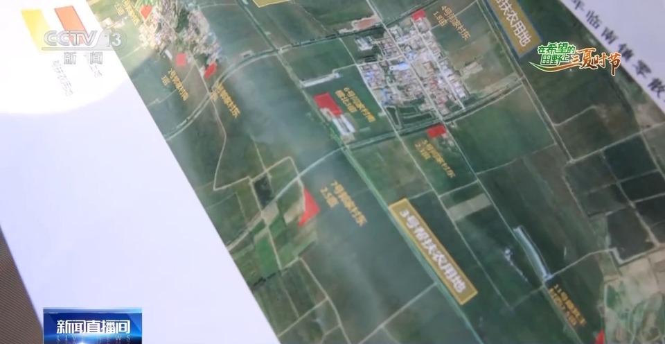 “三夏”生產(chǎn)思維導圖安排上了！還有政府大院等你來“曬”