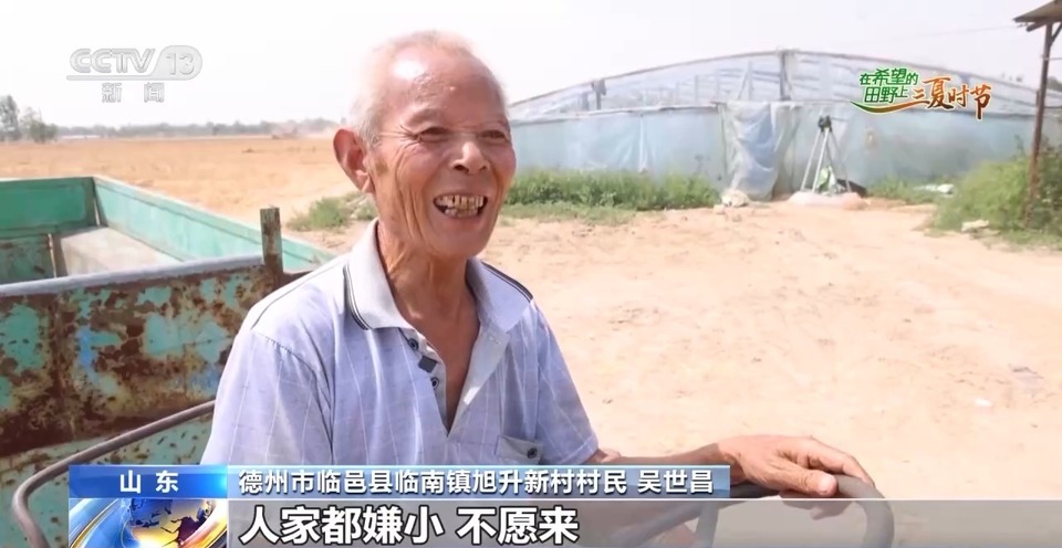 “三夏”生產(chǎn)思維導圖安排上了！還有政府大院等你來“曬”