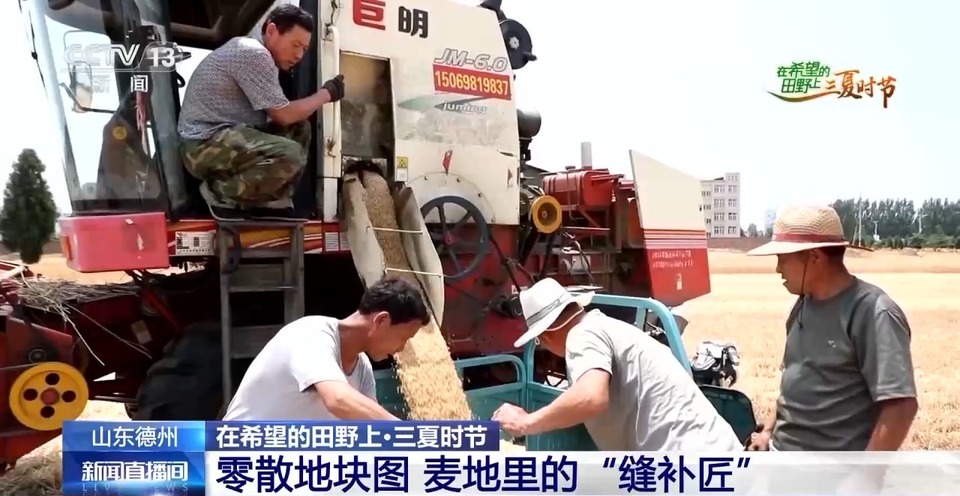 “三夏”生產(chǎn)思維導圖安排上了！還有政府大院等你來“曬”