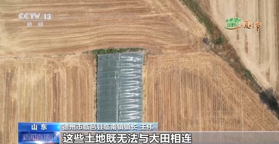 “三夏”生產(chǎn)思維導圖安排上了！還有政府大院等你來“曬”