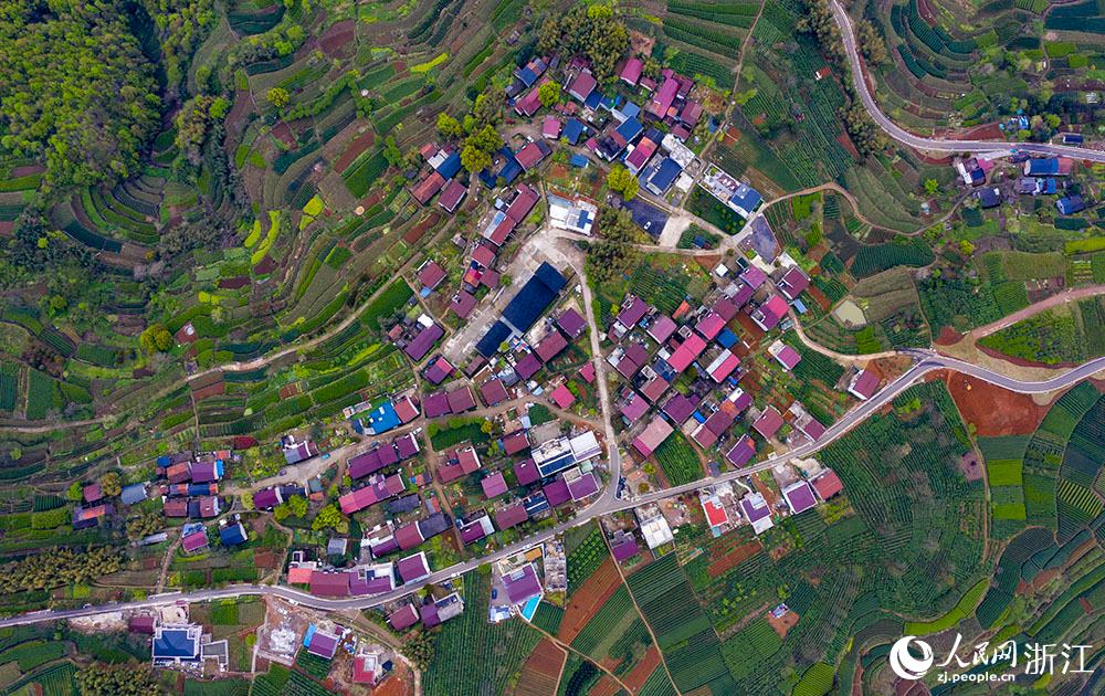 4月1日，紹興市新昌縣東茗鄉(xiāng)下巖貝村風(fēng)光秀麗，茶園旖旎。人民網(wǎng) 章勇濤攝