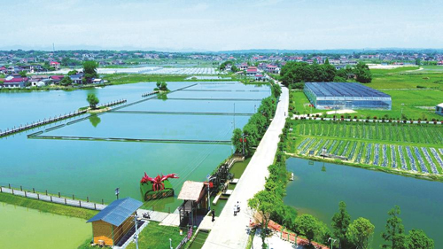 近年來，大成橋鎮(zhèn)堅(jiān)持加強(qiáng)黨對(duì)鄉(xiāng)村治理的集中統(tǒng)一領(lǐng)導(dǎo)，該鎮(zhèn)鄉(xiāng)村治理模式入選第二批全國鄉(xiāng)村治理典型案例。圖為美麗的大成橋鎮(zhèn)。（資料圖片）