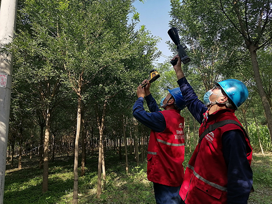 工作人員進行紅外測溫及超聲波局部放電檢測。 王亮攝