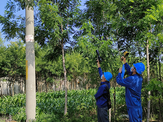 工作人員進行紅外測溫及超聲波局部放電檢測。 王亮攝