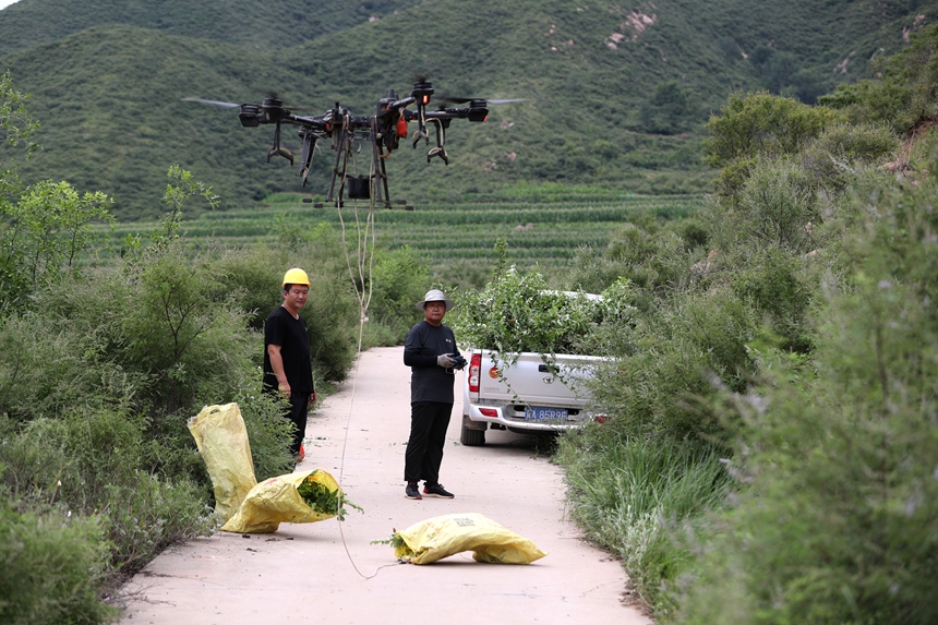 在石家莊市井陘縣吳家窯鄉(xiāng)長(zhǎng)峪村荒山造林現(xiàn)場(chǎng)，一名無(wú)人機(jī)手操控?zé)o人機(jī)運(yùn)輸樹(shù)苗。王保龍攝