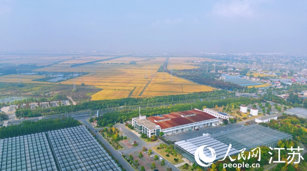 位于幸福街道的“萬頃良田”。人民網(wǎng)記者 王繼亮攝