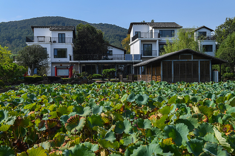 雨悅山房負(fù)責(zé)人原來在馬達(dá)加斯加打理酒店，之所以“從馬達(dá)加斯加到肥東”，源于對家鄉(xiāng)民宿前景看好。吳芳攝