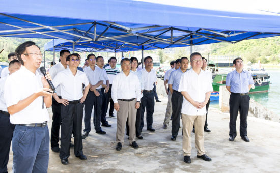 2019年6月21日上午，省長沈曉明率省政府班子成員在三亞鐵爐港調研項目規(guī)劃建設情況。海南日報記者 宋國強 攝