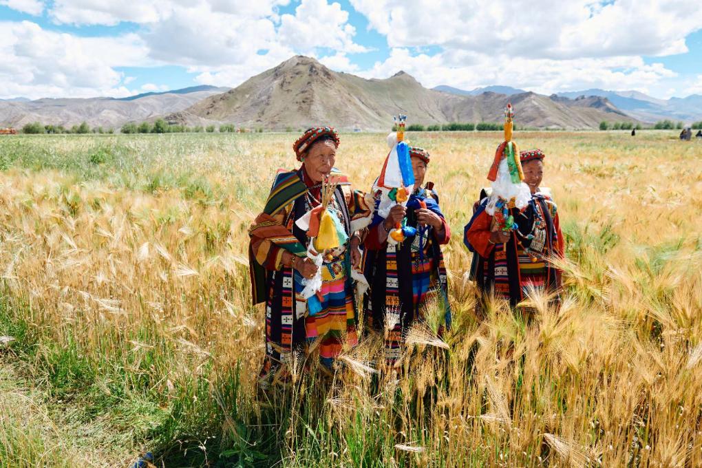 滬藏攜手構建江孜氆氌全產業(yè)鏈體系：“指尖技藝”跨入發(fā)展“新賽道”