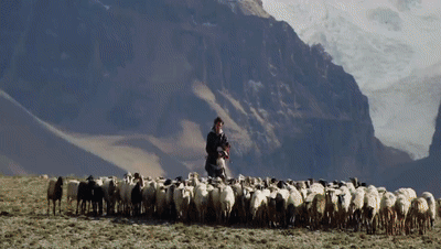 你看了嗎？藏語版《日光之城》“含金量”還在上升！