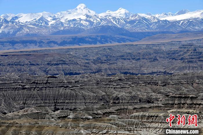 4月5日，西藏阿里札達(dá)土林?！±盍?攝