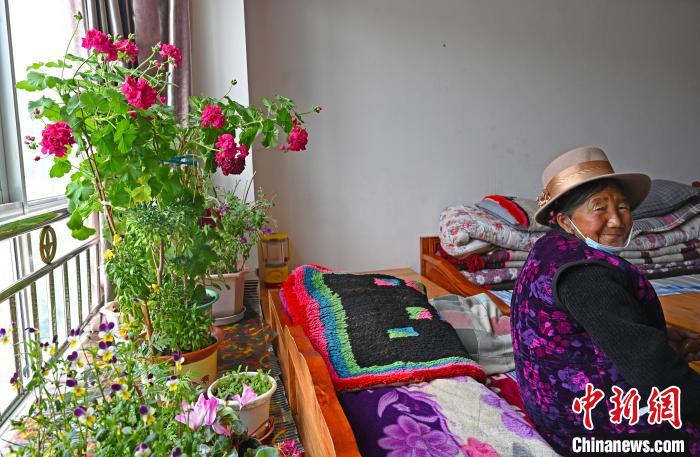 圖為曲松縣特困人員集中供養(yǎng)中心老人德吉卓嘎與她的花。　趙朗 攝