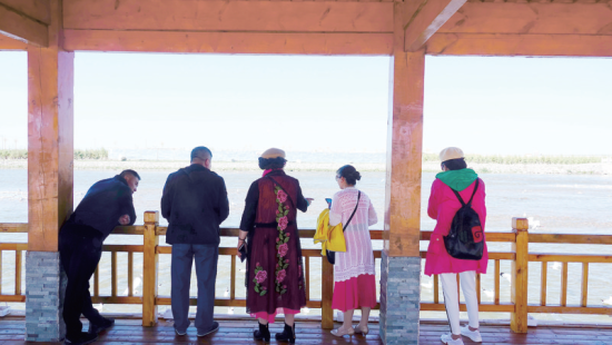 湟魚(yú)洄游奇觀吸引游人。