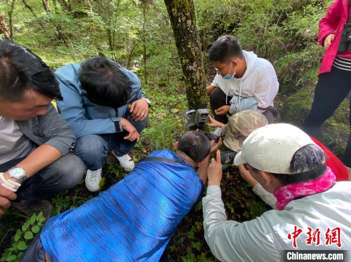 圖為訪客正在查看紅外相機(jī)中的拍攝畫面?！±罱瓕?攝