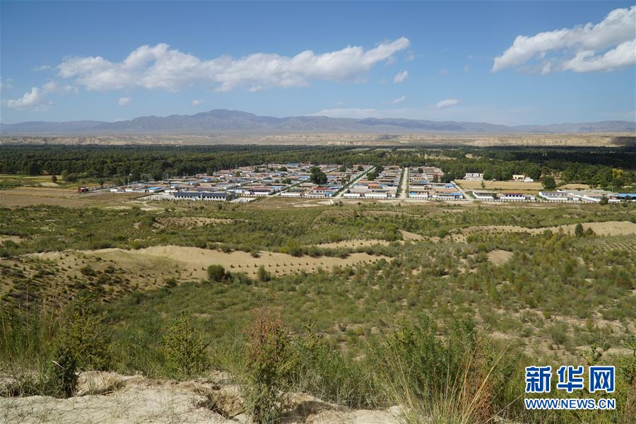 （決戰(zhàn)決勝脫貧攻堅(jiān)·圖文互動(dòng)）（2）高原鄉(xiāng)鎮(zhèn)沙珠玉 治沙斗貧成“綠?！薄嗪Ｊ」埠涂h沙珠玉鄉(xiāng)采訪見聞