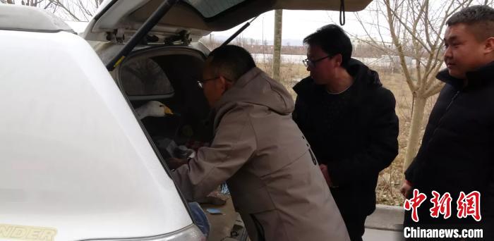 圖為民警救助國家二級保護(hù)動物——大天鵝。青海省公安廳森林警察總隊(duì)供圖