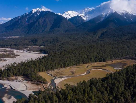 資料圖：西藏崗云杉林與遠(yuǎn)處的雪峰。 何蓬磊 攝